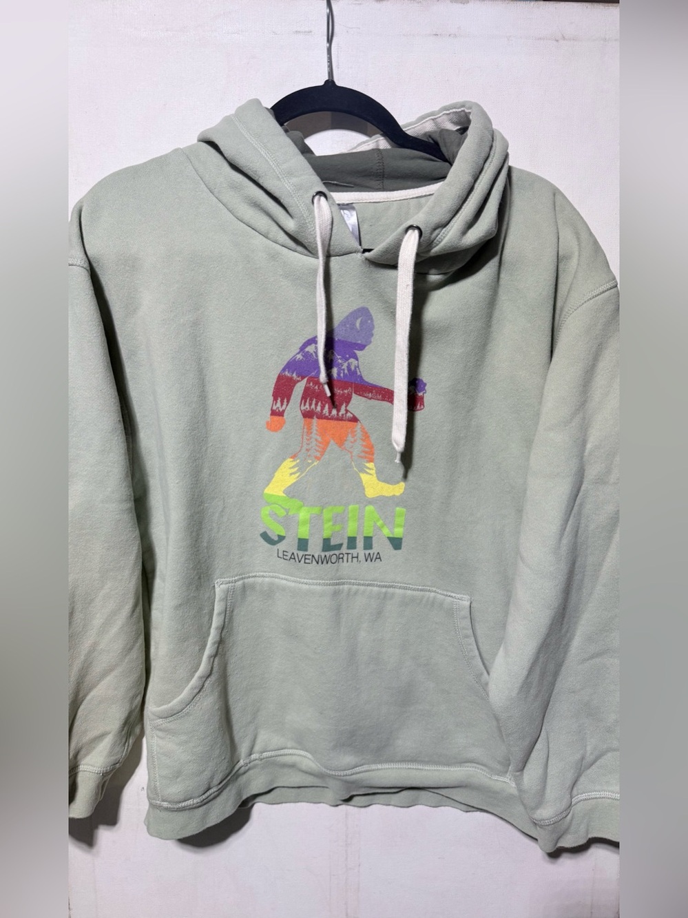 Ouray Sage Green Graphic Hoodie with Rainbow Bigfoot Print STEIN & Leavenworth